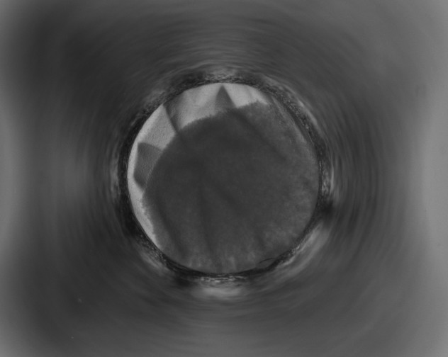 X0000086730524200705111617