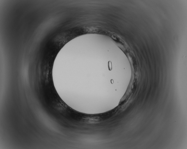 X0000086730525200705111617