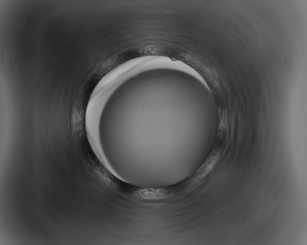 X0000086730526200705111617