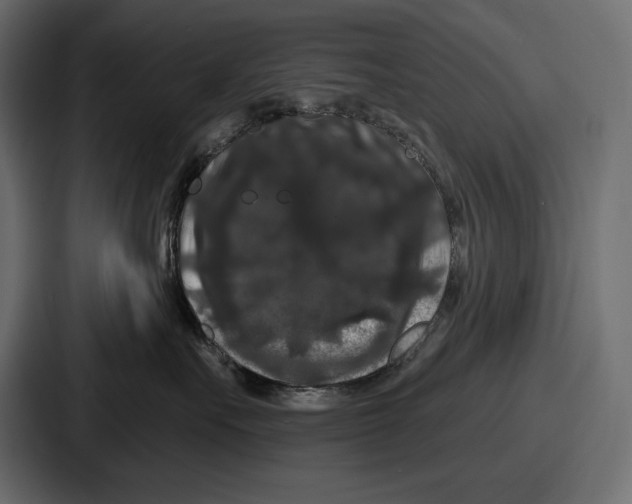 X0000086730527200705111617