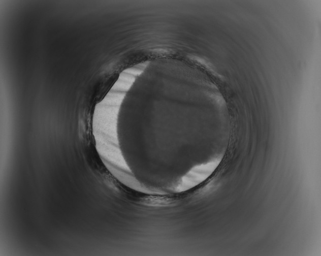 X0000086730528200705111617