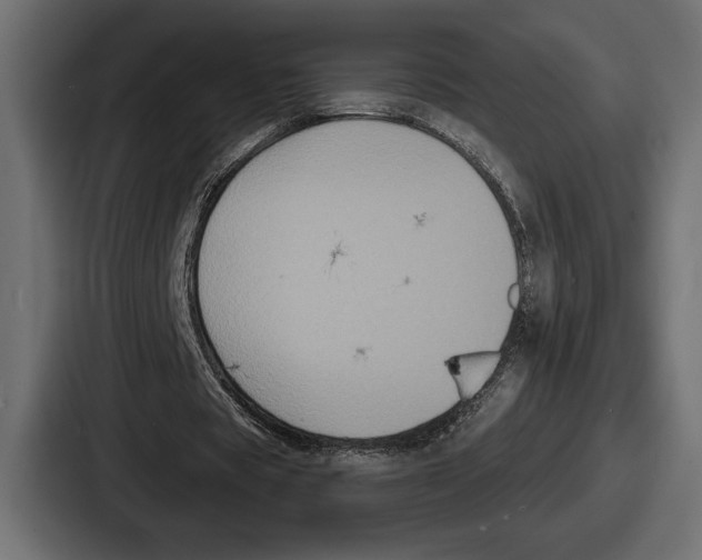 X0000086730529200705111617