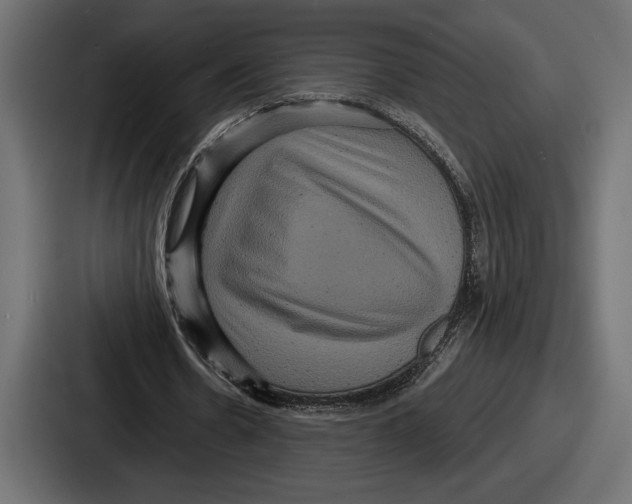 X0000086730530200705111617