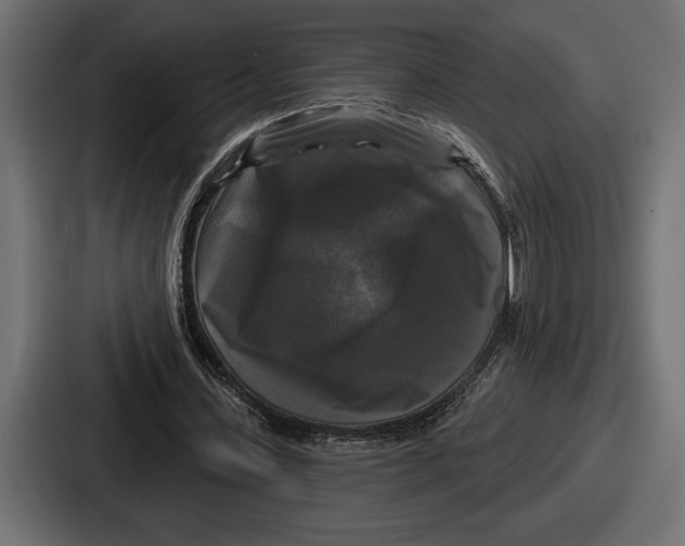 X0000086730531200705111617