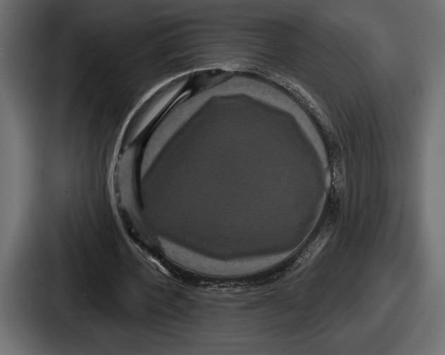 X0000086730532200705111617