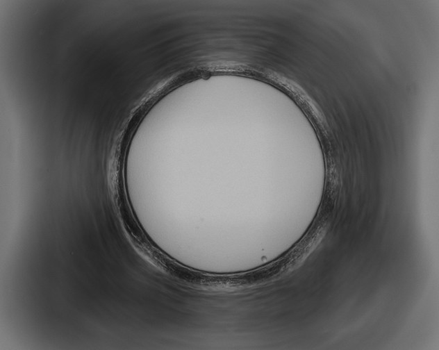 X0000086730533200705111617