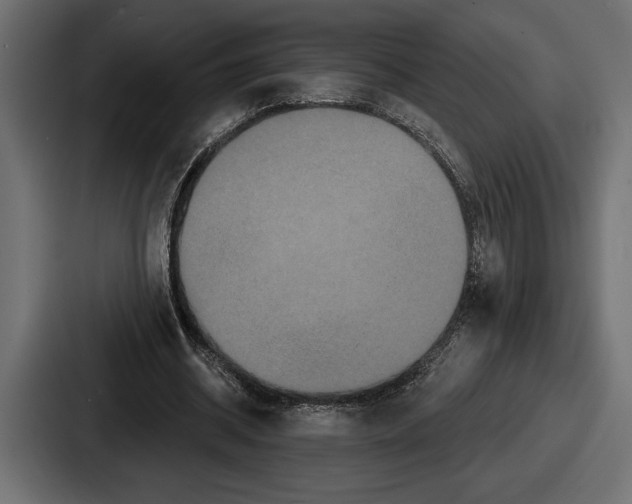 X0000086730534200705111617