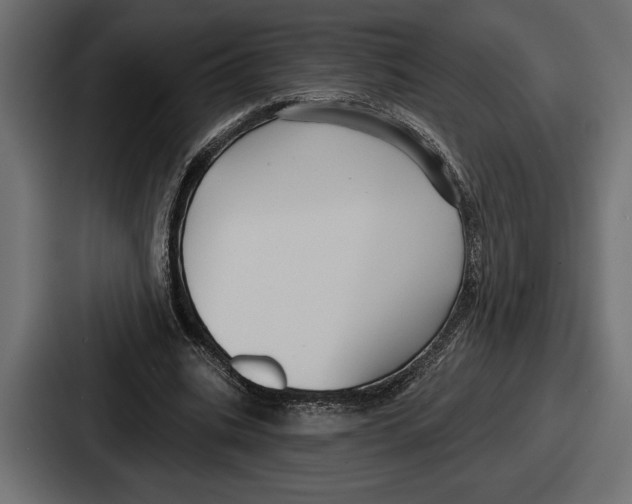 X0000086730535200705111617