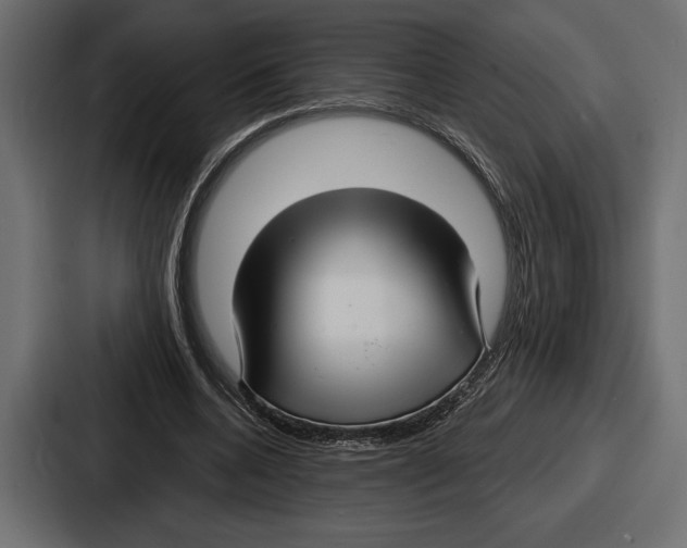X0000086730536200705111617