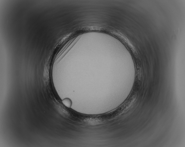 X0000086730537200705111617