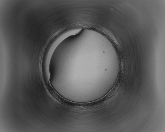 X0000086730538200705111617
