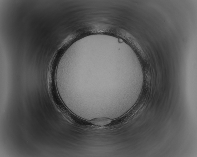 X0000086730539200705111617