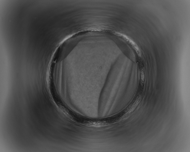 X0000086730540200705111617