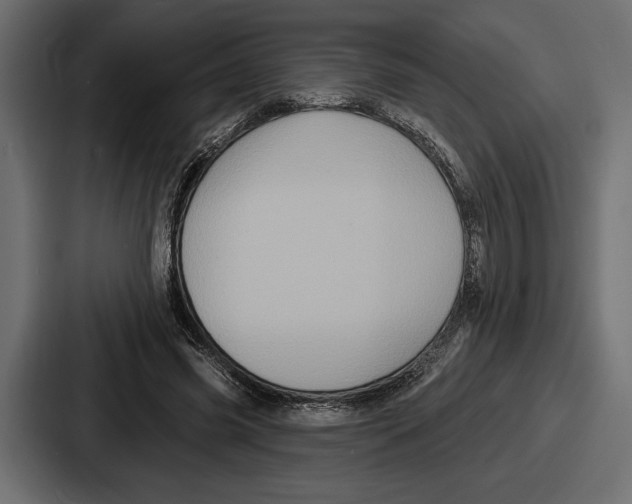 X0000086730541200705111617