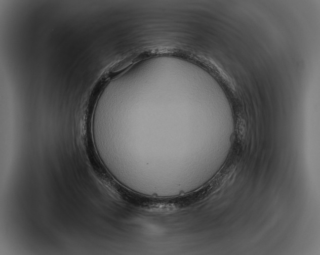 X0000086730543200705111617