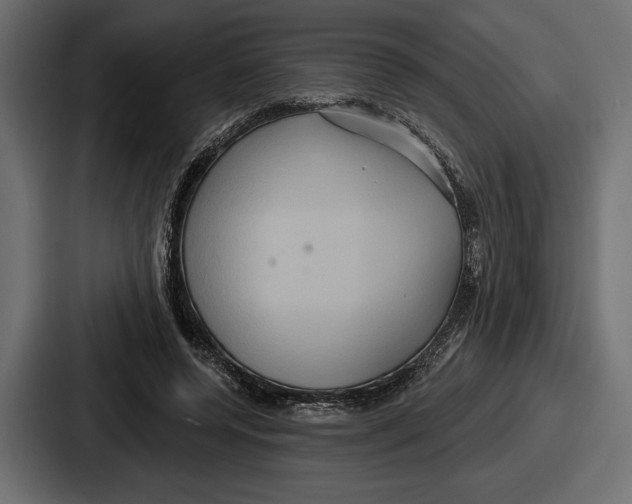 X0000086730544200705111617