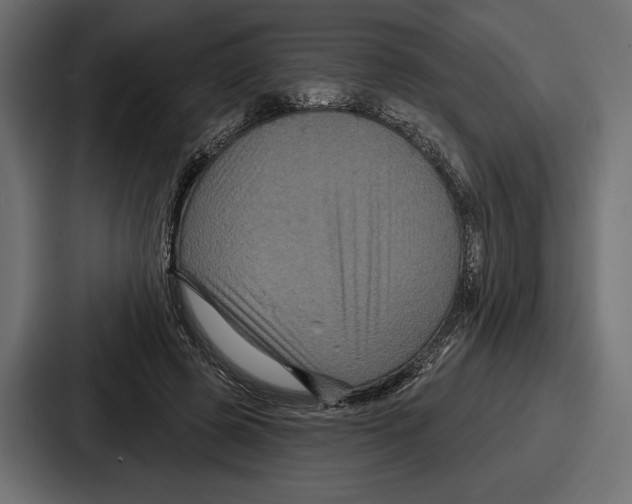 X0000086730545200705111617