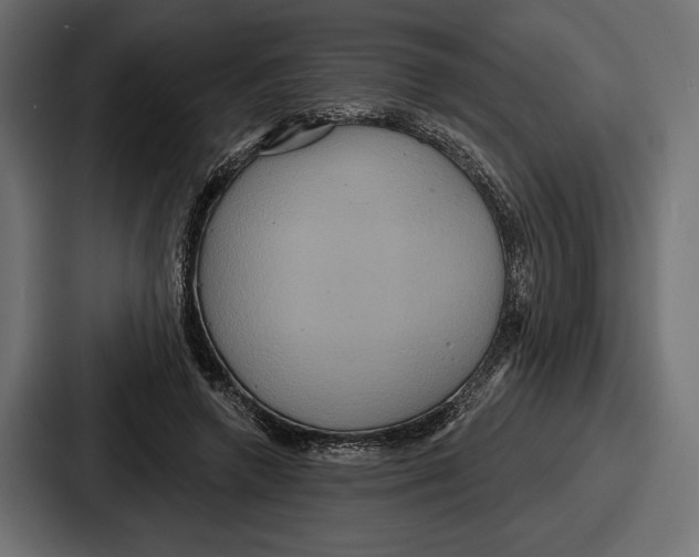 X0000086730546200705111617