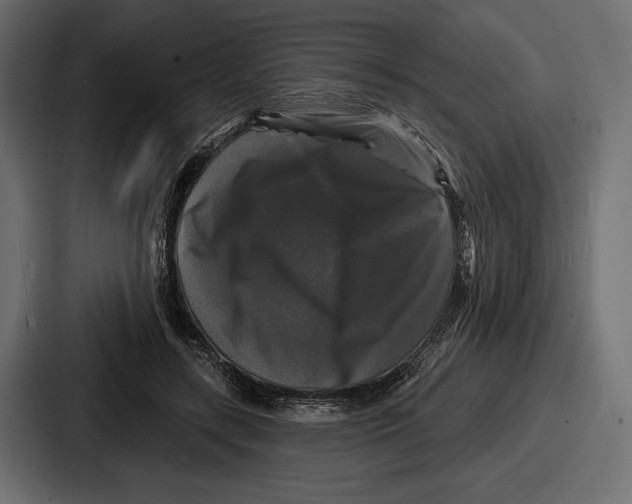 X0000086730547200705111617