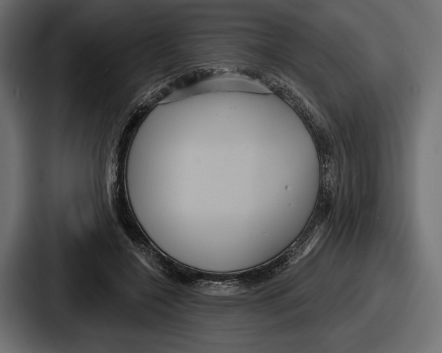 X0000086730548200705111617