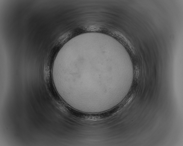 X0000086730549200705111617