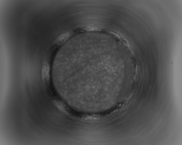 X0000086730550200705111617