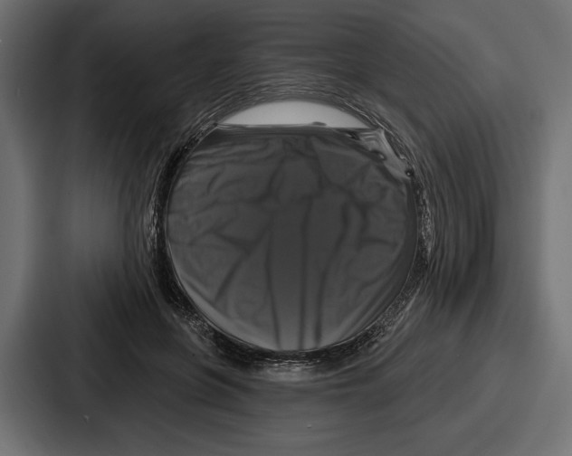 X0000086730551200705111617