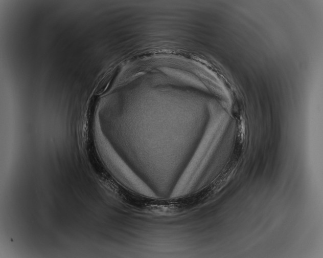 X0000086730552200705111617