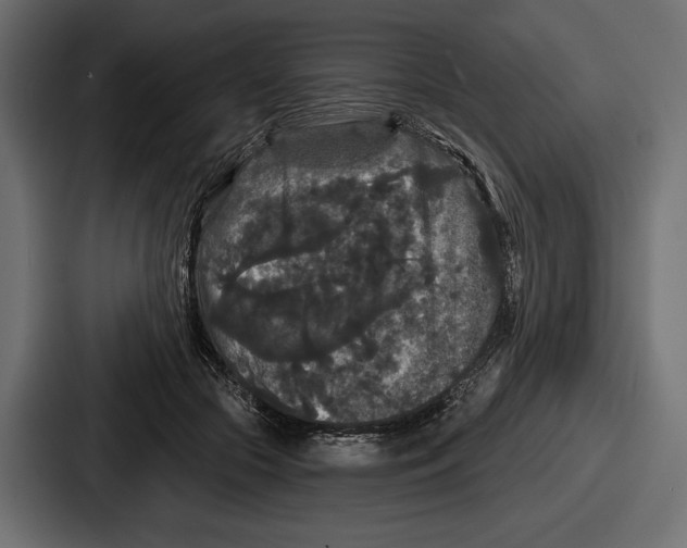 X0000086730553200705111617