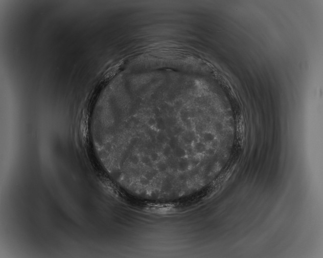 X0000086730554200705111617