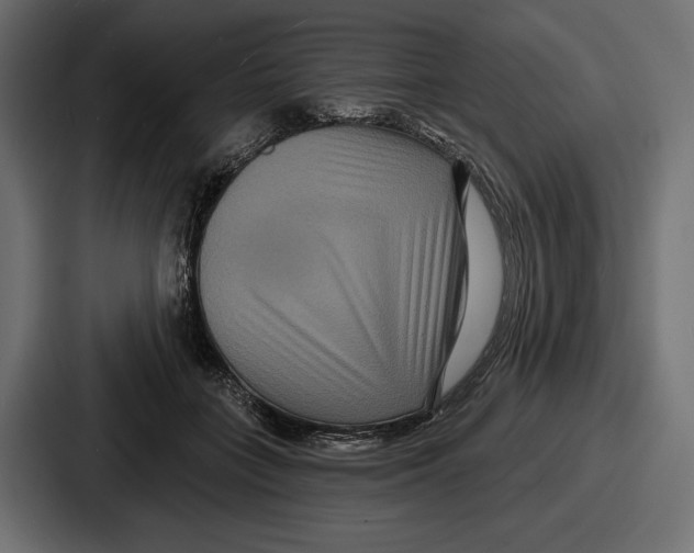 X0000086730555200705111617