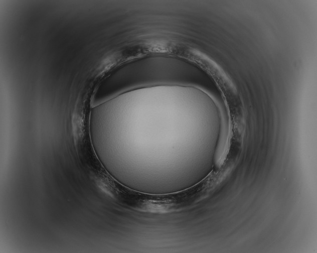 X0000086730556200705111617