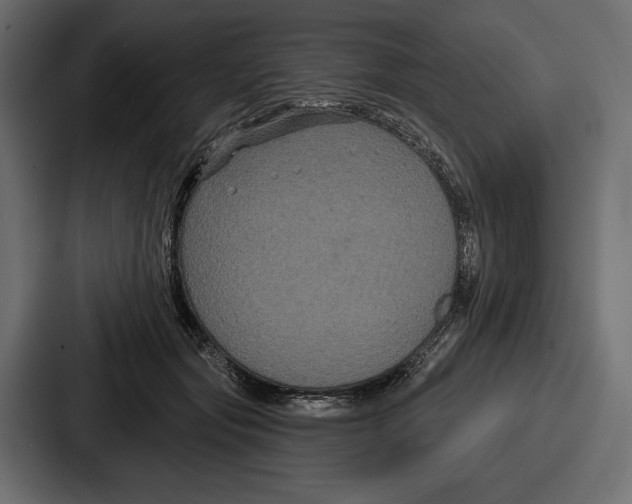 X0000086730557200705111617