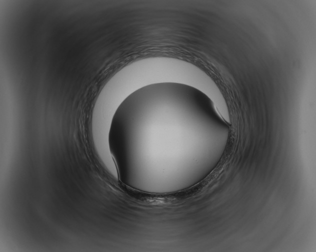 X0000086730558200705111617