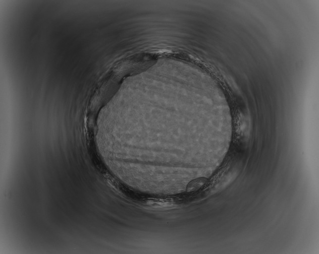 X0000086730559200705111617