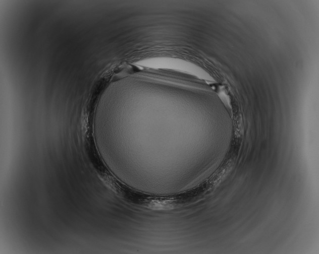 X0000086730560200705111617