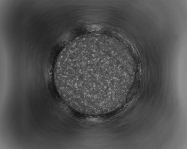 X0000086730561200705111617