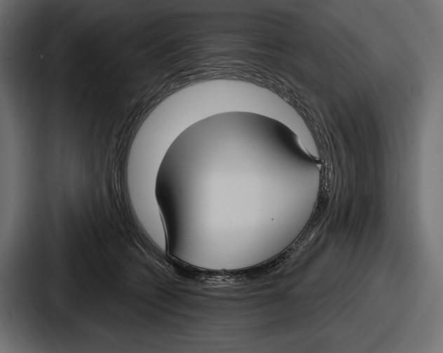 X0000086730562200705111617