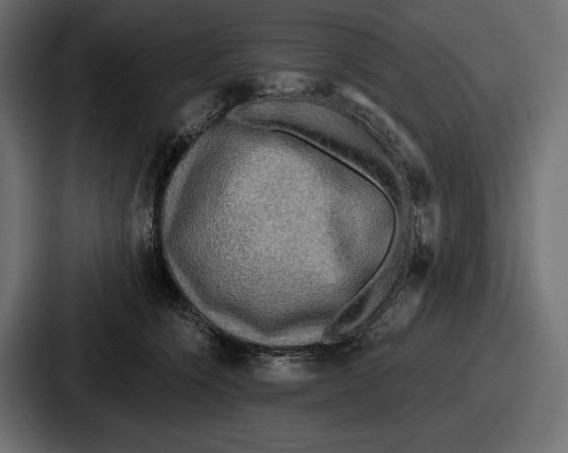 X0000086730564200705111617