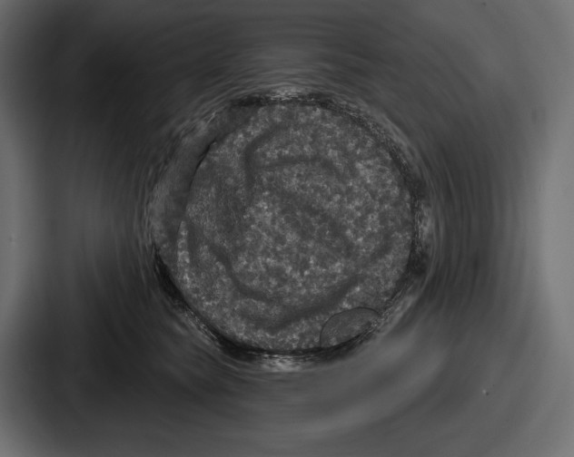 X0000086730565200705111617