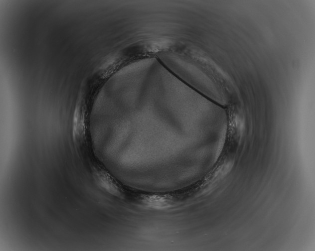 X0000086730566200705111617