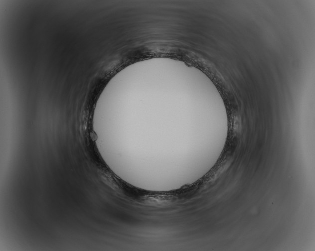 X0000086730567200705111617