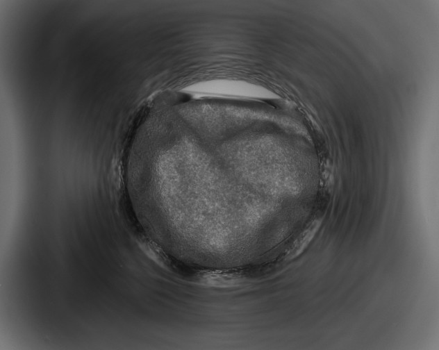 X0000086730568200705111617