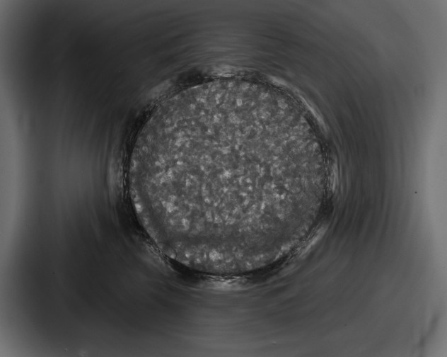 X0000086730569200705111617
