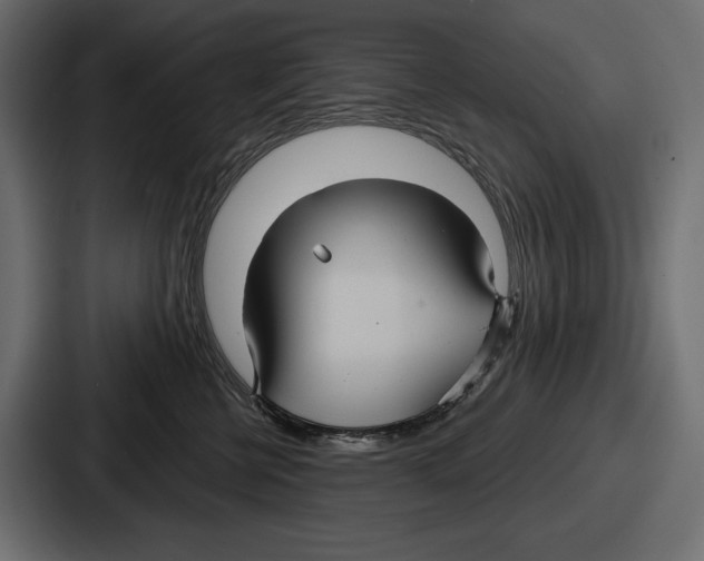 X0000086730570200705111617