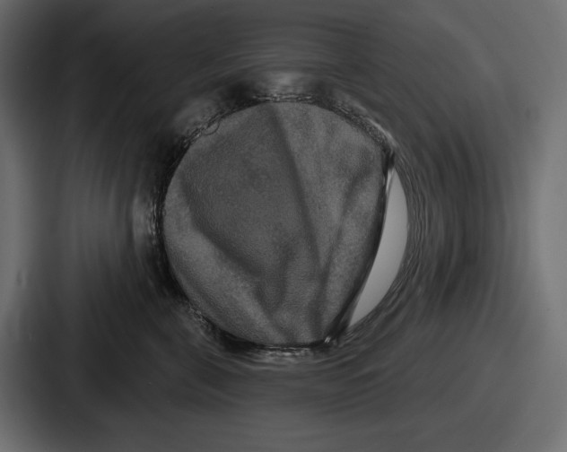 X0000086730571200705111617