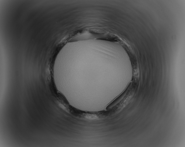 X0000086730572200705111617