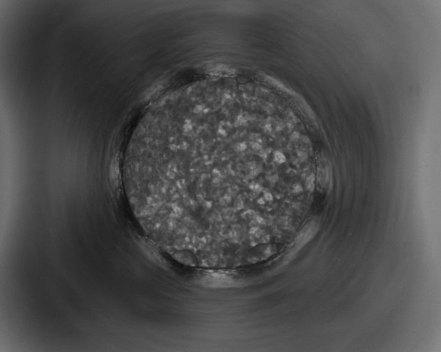 X0000086730573200705111617