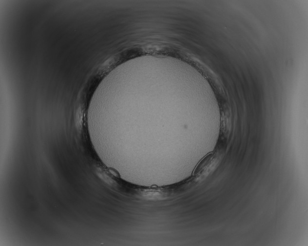X0000086730574200705111617