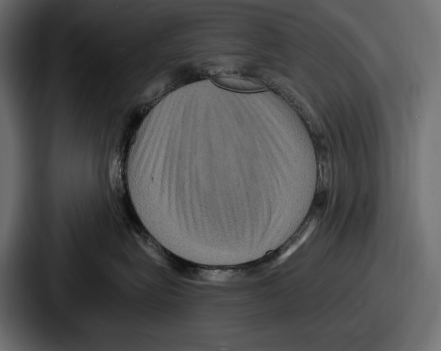 X0000086730575200705111617